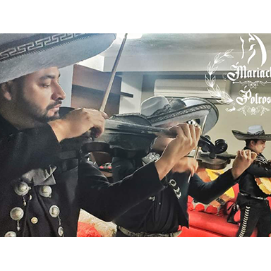 mariachi potros de monterrey